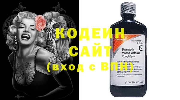 прущие грибы Верхний Тагил
