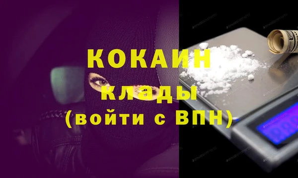 прущие грибы Верхний Тагил
