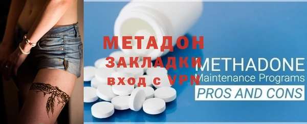 прущие грибы Верхний Тагил