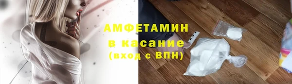 прущие грибы Верхний Тагил