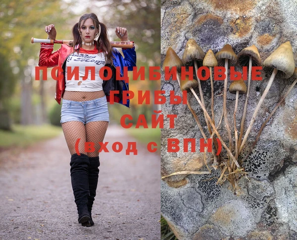 мяу мяу кристалл Верея