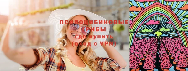 прущие грибы Верхний Тагил