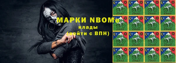 прущие грибы Верхний Тагил