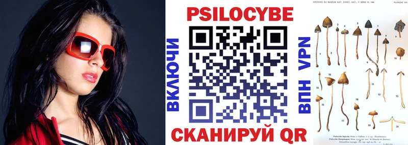 Псилоцибиновые грибы Psilocybine cubensis  магазин    Володарск 